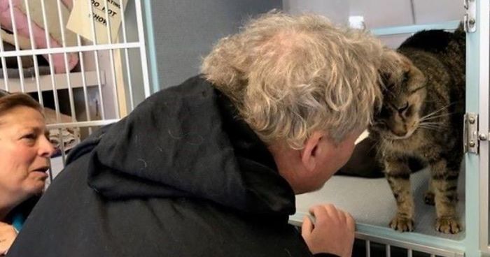 Woman Sees Her Cat On Facebook Who’s Been Missing For 2 Years