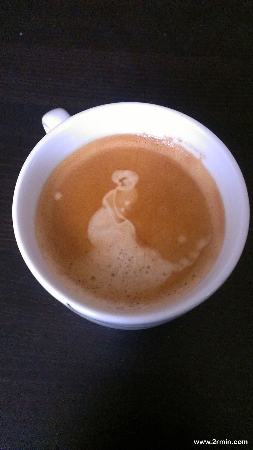 10+ What Have You Found In Your Coffee This Morning?