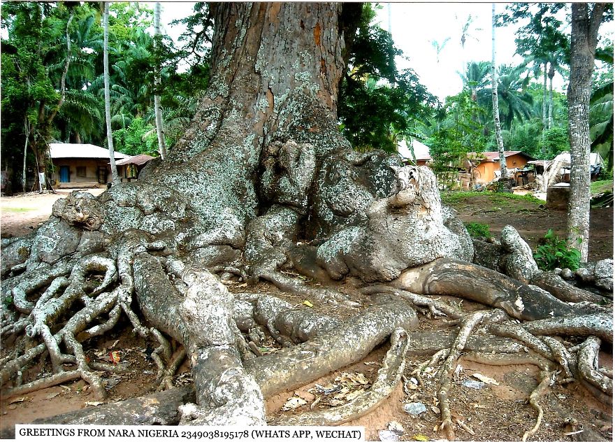 Nara:an African Town So Beautiful A Japanese Town Stole Its Name! Nara:an African Town So Beautiful A Japanese Town Stole Its Name!