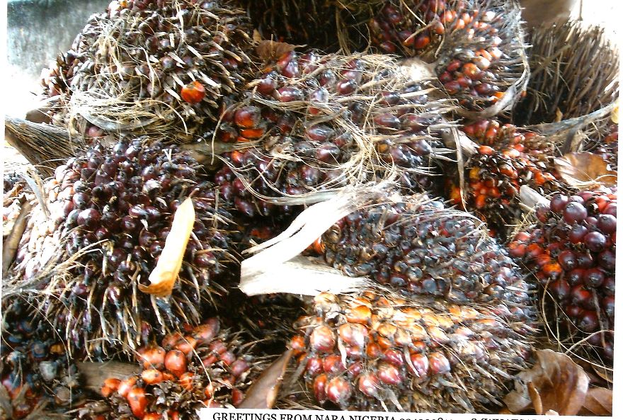 Nara:an African Town So Beautiful A Japanese Town Stole Its Name! Nara:an African Town So Beautiful A Japanese Town Stole Its Name!