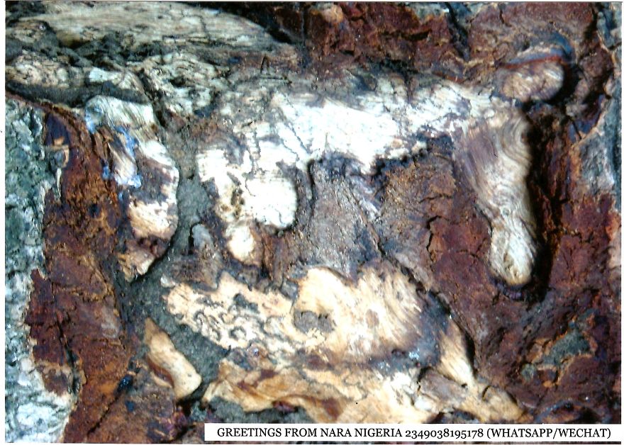 Nara:an African Town So Beautiful A Japanese Town Stole Its Name! Nara:an African Town So Beautiful A Japanese Town Stole Its Name!