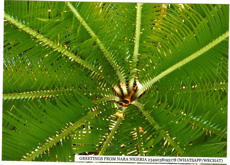 Nara:an African Town So Beautiful A Japanese Town Stole Its Name! Nara:an African Town So Beautiful A Japanese Town Stole Its Name!