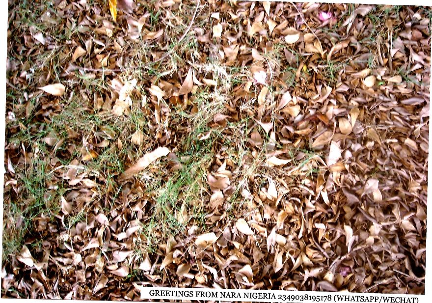 Nara:an African Town So Beautiful A Japanese Town Stole Its Name!