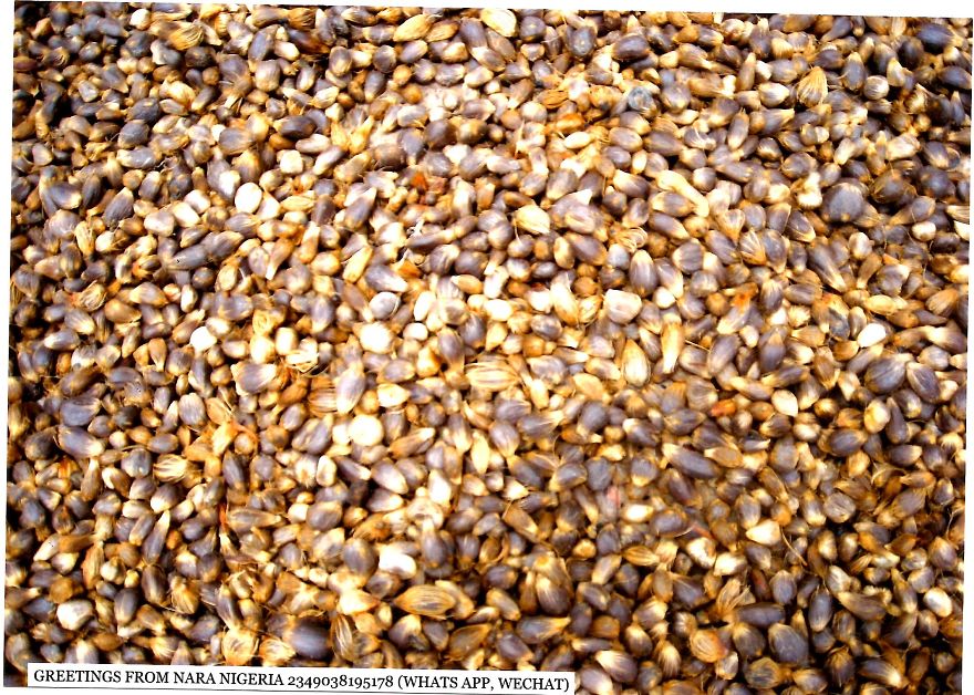 Nara:an African Town So Beautiful A Japanese Town Stole Its Name! Nara:an African Town So Beautiful A Japanese Town Stole Its Name!