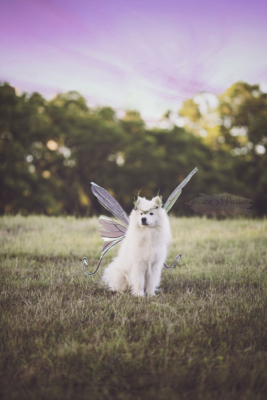 Return Of The Magical Floofer Return Of The Magical Floofer