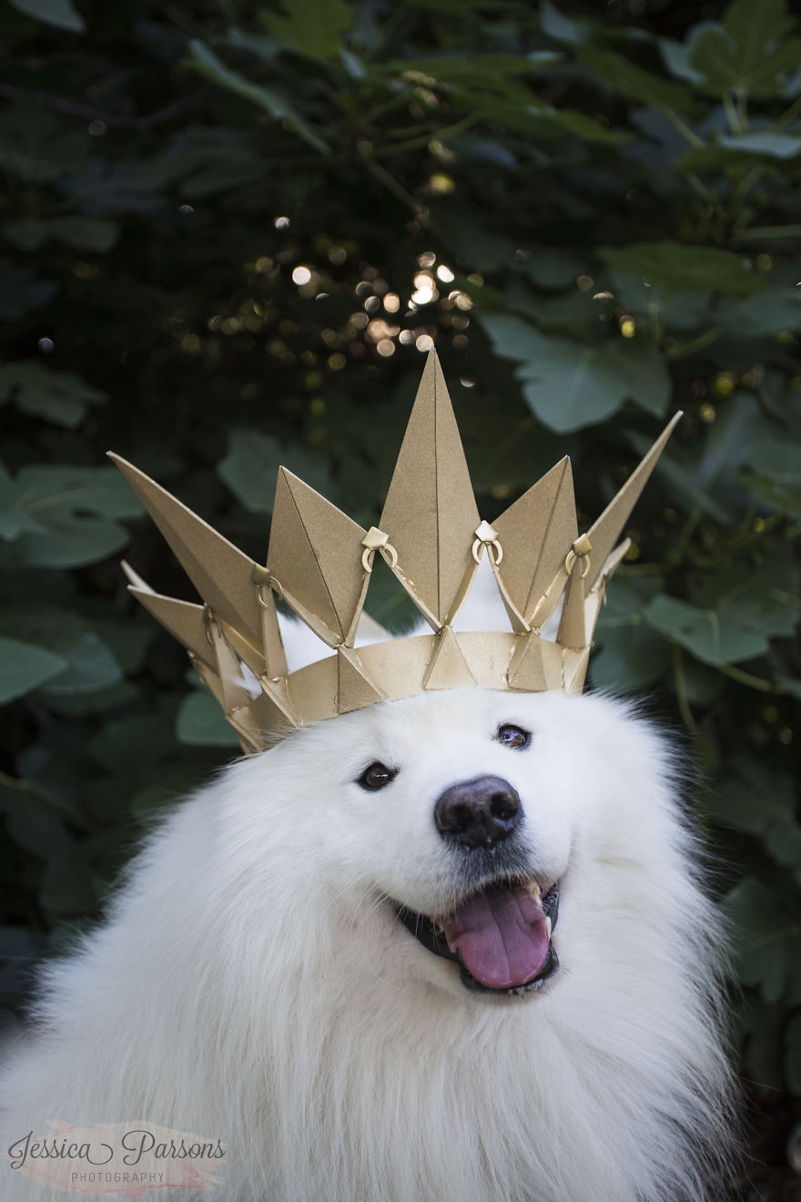 Return Of The Magical Floofer