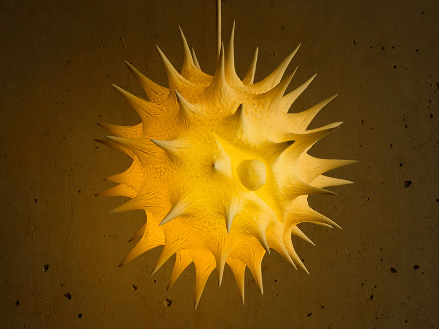 Swiss Designers Created A Series Of Pollen Lamps Inspired By The Beauty Of Pollen Grains As Seen Under A Microscope Swiss Designers Created A Series Of Pollen Lamps Inspired By The Beauty Of Pollen Grains As Seen Under A Microscope