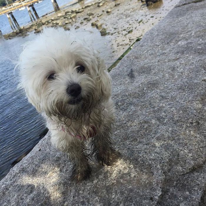 Fun Day At The Beach