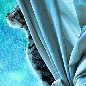 yukychankouran avatar