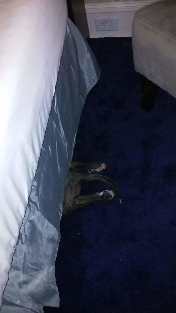 She Needs To Take Her Medicine And Thinks If She Hides I Won't Find Her. But She Really Stinks At Hide And Seek!