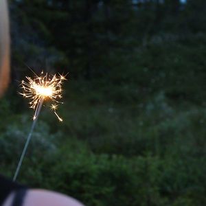 maja_torshage avatar