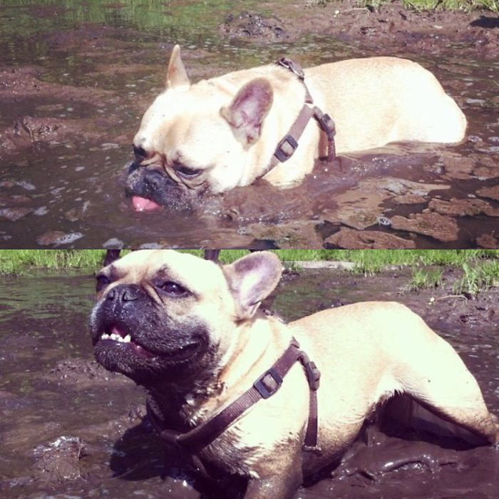 Mud Milkshake Anyone ??