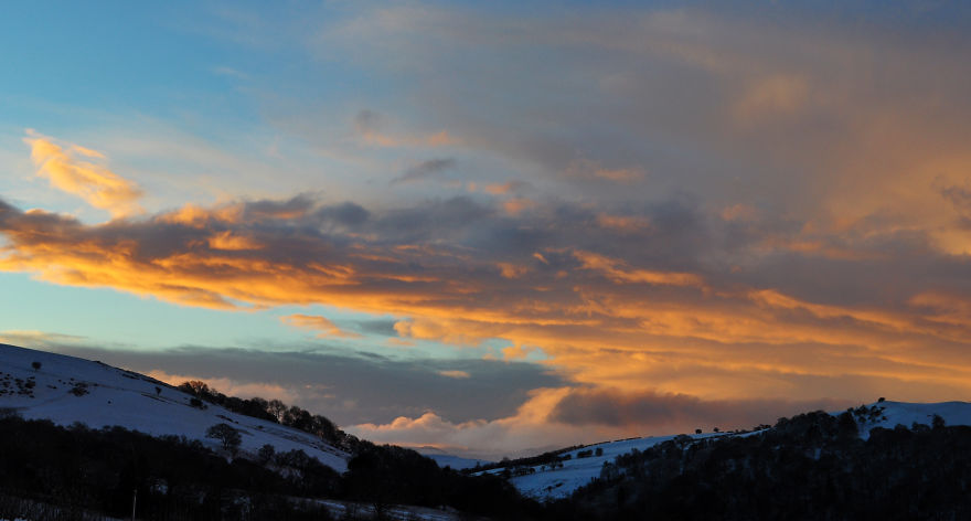 My Family Bought 72 Animals And Moved Up A Mountain