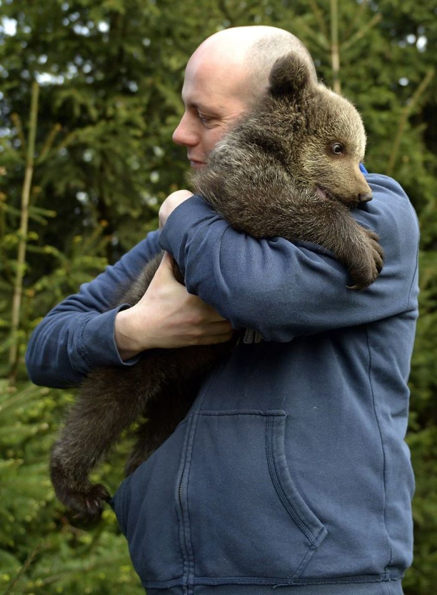 Story About Little Bear And People With Big Hearts Story About Little Bear And People With Big Hearts