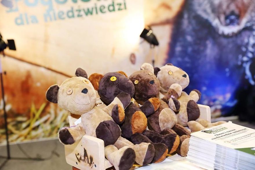 Story About Little Bear And People With Big Hearts Story About Little Bear And People With Big Hearts