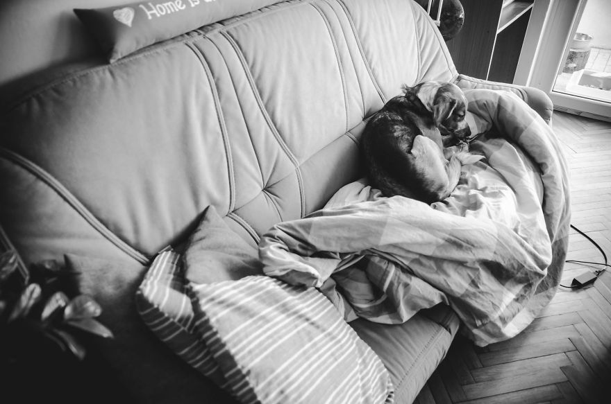 I Hoped To Photograph A Miracle, But Instead, I Captured My Hardest Goodbye I Hoped To Photograph A Miracle, But Instead, I Captured My Hardest Goodbye