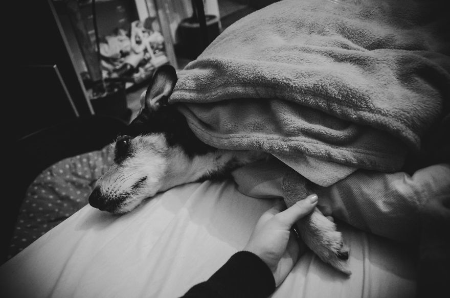 I Hoped To Photograph A Miracle, But Instead, I Captured My Hardest Goodbye I Hoped To Photograph A Miracle, But Instead, I Captured My Hardest Goodbye