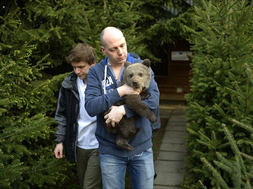 Story About Little Bear And People With Big Hearts Story About Little Bear And People With Big Hearts