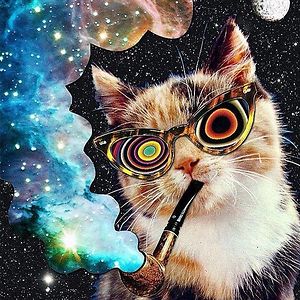 dvershalouski avatar