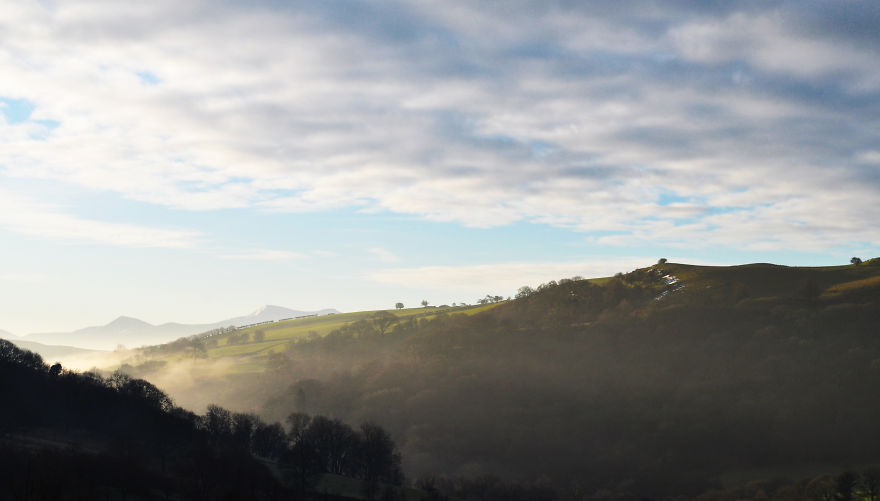 My Family Bought 72 Animals And Moved Up A Mountain