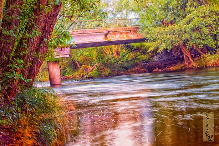 Thanks To Art I Can Cope With Schizophrenia And Other Severe Diagnoses