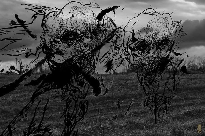 Thanks To Art I Can Cope With Schizophrenia And Other Severe Diagnoses