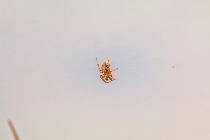 Thanks To Art I Can Cope With Schizophrenia And Other Severe Diagnoses