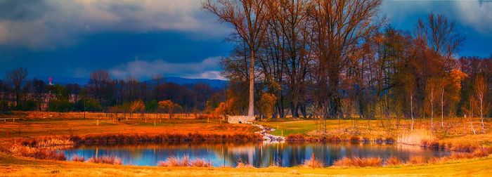 Thanks To Art I Can Cope With Schizophrenia And Other Severe Diagnoses