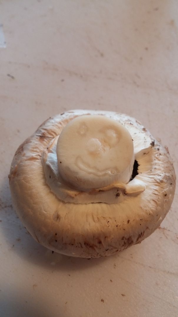 Mushroom Smiles