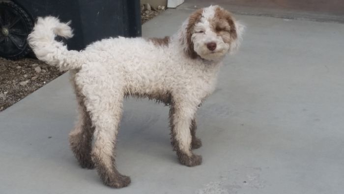 Hiking In The Mountains Always Ends In A Bath!