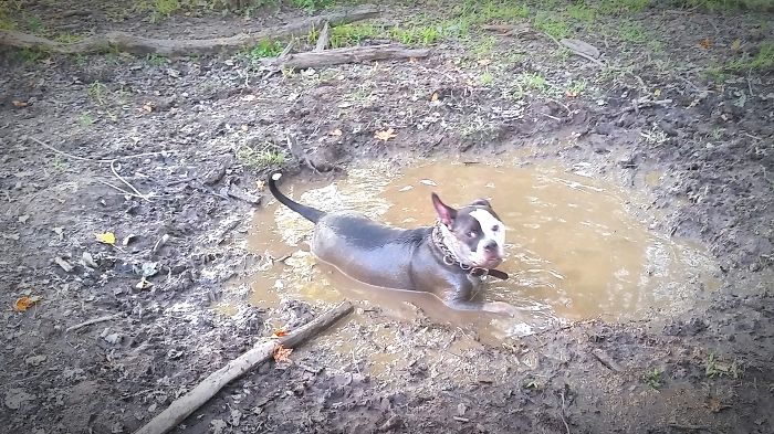 ~ But Grandma Let's Me... And Then Sends Me Home Like This. Thanks Mom!