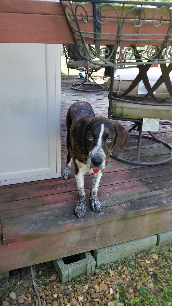 I Didn't Do Anything Wrong...i Promise!!!!!