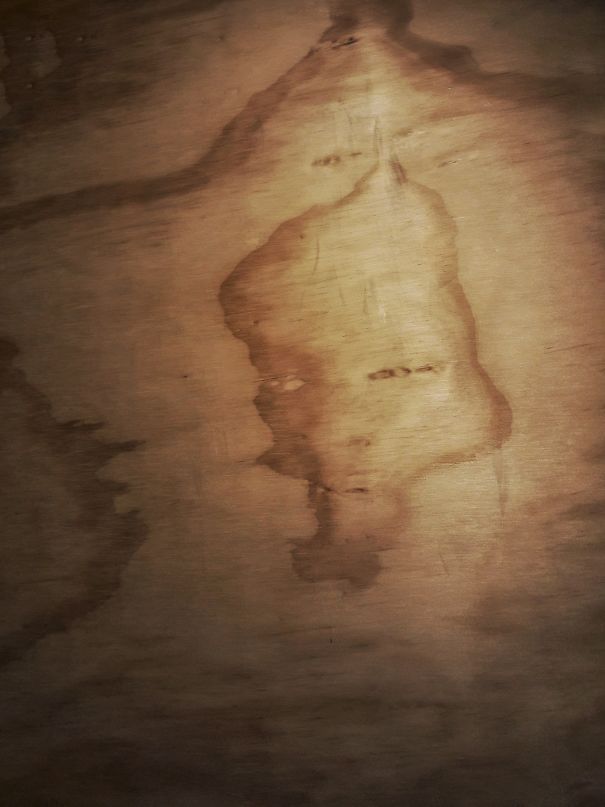 How Wood You Like To Be Me?