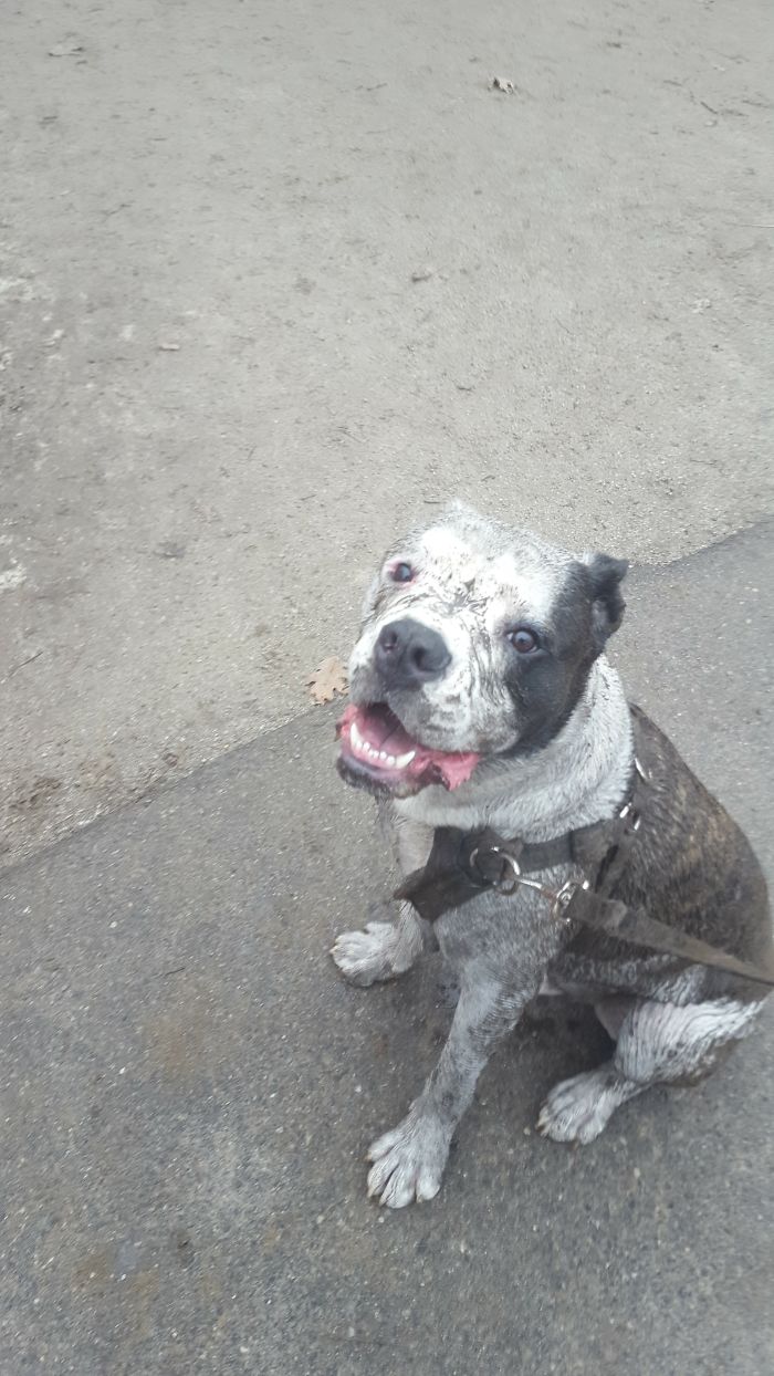 Best Day Of His Life.