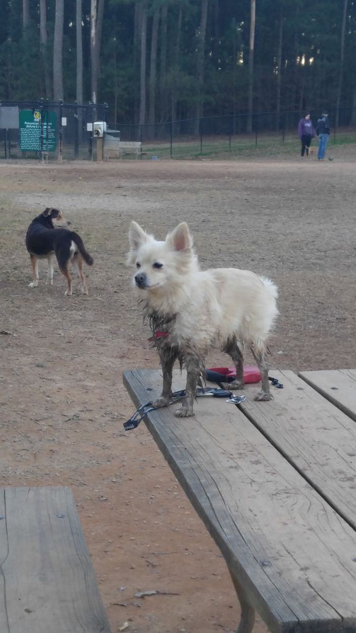 Yeah, I'm Muddy. Got A Problem With That? Didn't Think So.