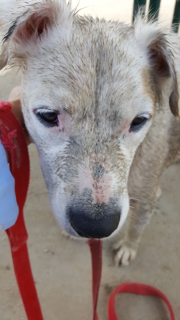 She Is A Dirty Birdy