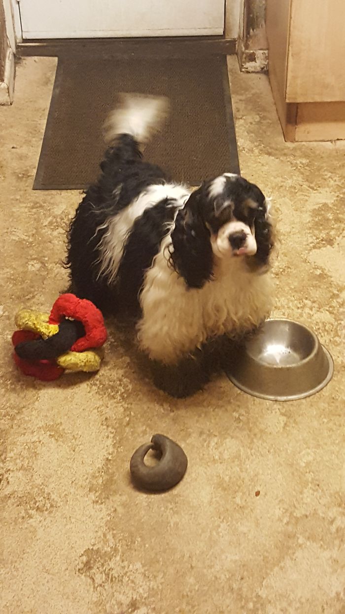 You Cleaned The Kitchen 20 Mins Ago?? Oops My Bad. Sorry Not Sorry Haha