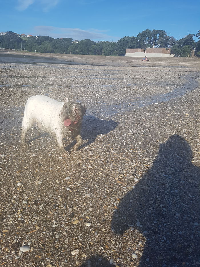 But This Is My Beauty Mask!