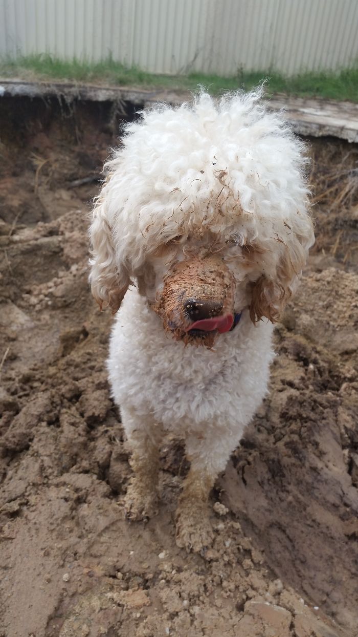 Excavation Is Almost Over