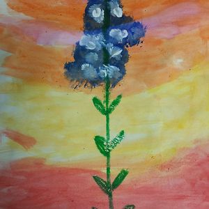 connieroland59 avatar