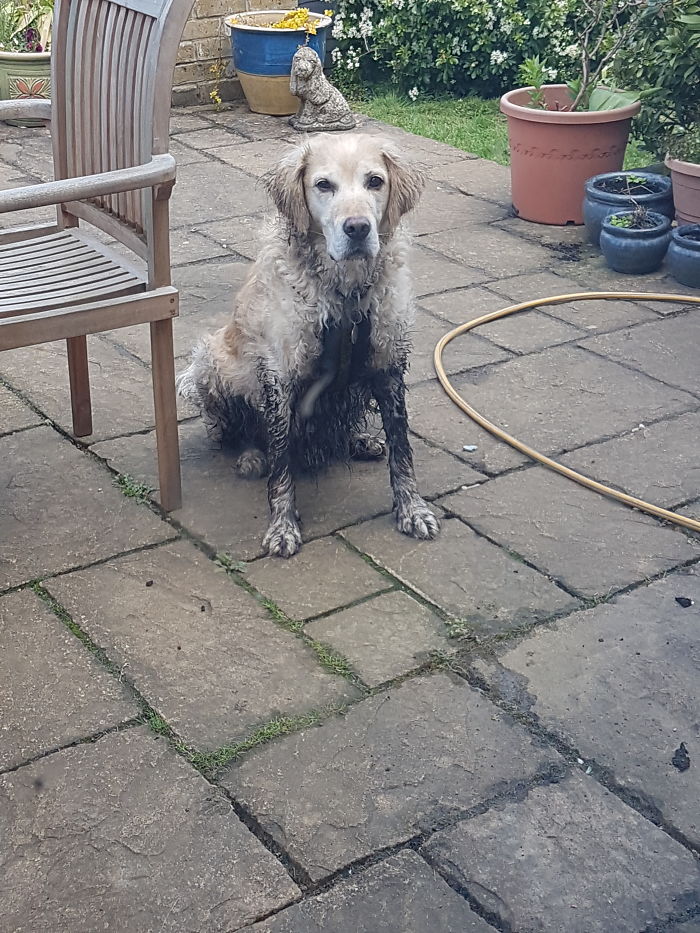 Tell Me Again Why I Cannot Come In?