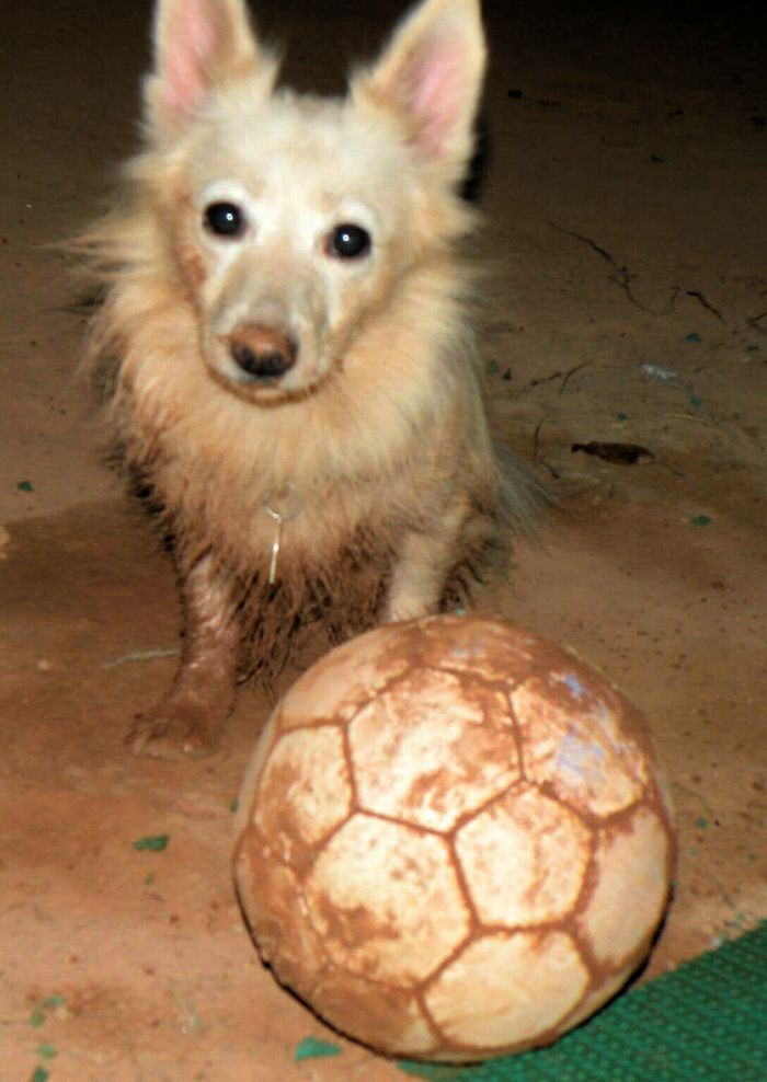 Her Soccer Ball "accidently" Fell Into A Mud Puddle