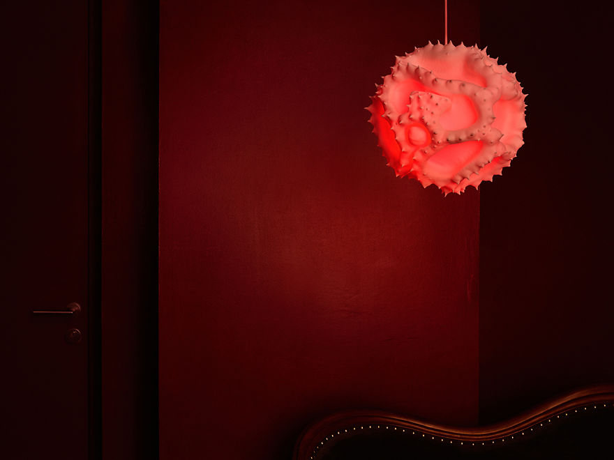 Swiss Designers Created A Series Of Pollen Lamps Inspired By The Beauty Of Pollen Grains As Seen Under A Microscope Swiss Designers Created A Series Of Pollen Lamps Inspired By The Beauty Of Pollen Grains As Seen Under A Microscope