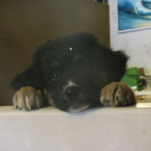 ladycoldfingers avatar