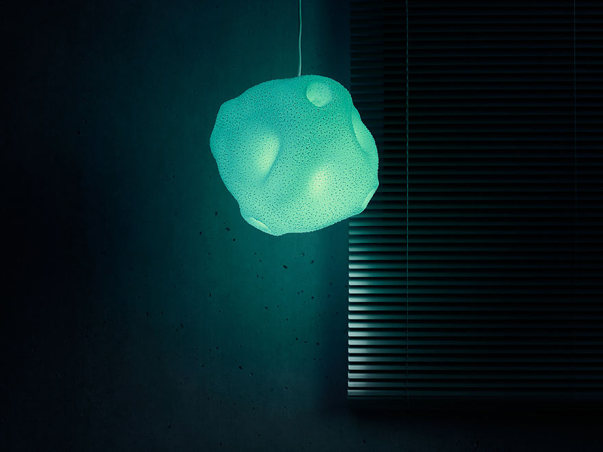 Swiss Designers Created A Series Of Pollen Lamps Inspired By The Beauty Of Pollen Grains As Seen Under A Microscope Swiss Designers Created A Series Of Pollen Lamps Inspired By The Beauty Of Pollen Grains As Seen Under A Microscope