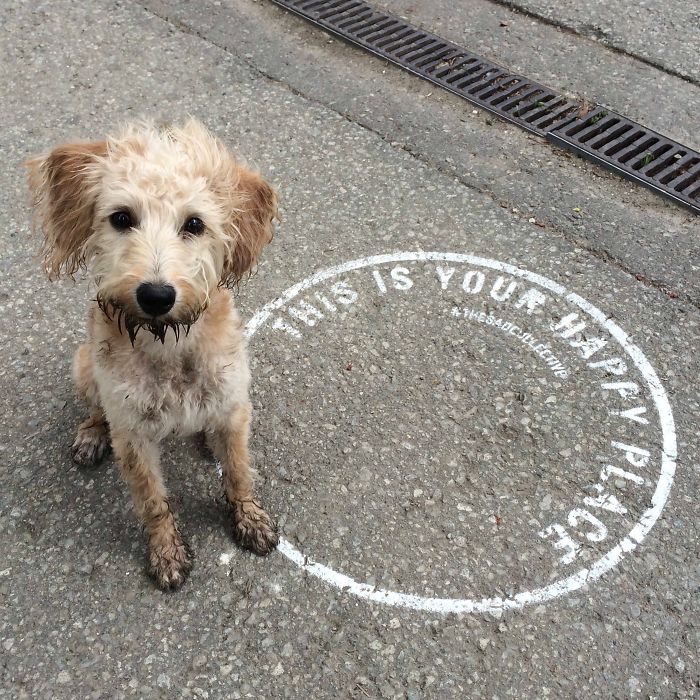 This Is Your Happy Place