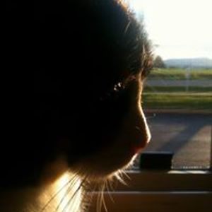 jeff_gilleran avatar