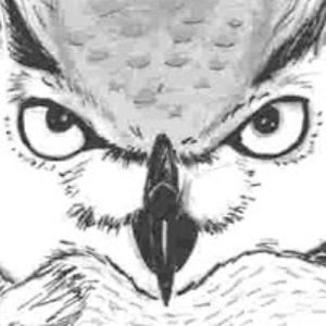 chouetteenrage avatar