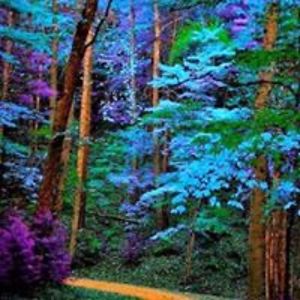 leisou_katerina avatar