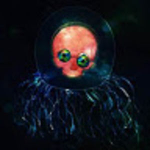 immortaljellyfish avatar